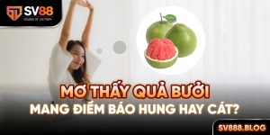 Mơ thấy quả bưởi mang điềm báo hung hay cát?